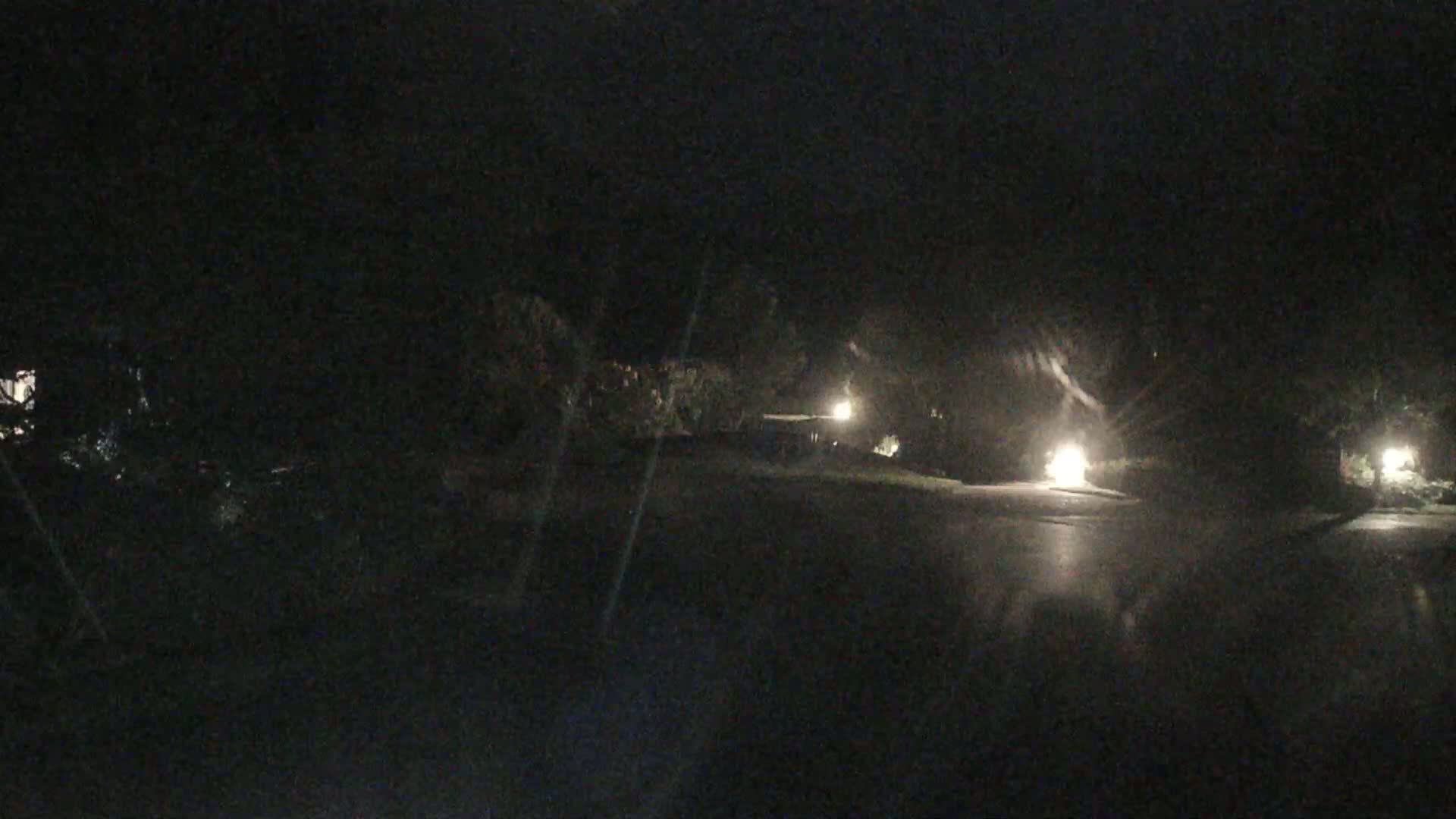 A dark, nighttime street scene shows a wet road illuminated by several distant lights, surrounded by trees and shrubs.