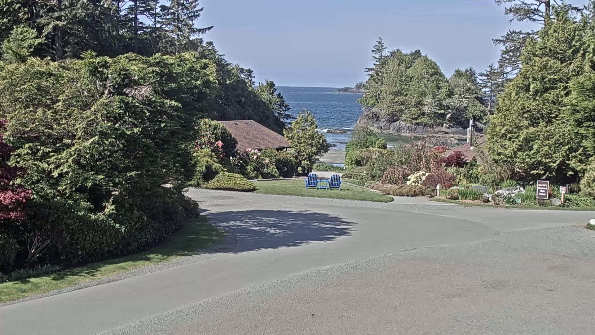 A paved roadway curves through a lush, green landscape toward a tranquil ocean scene on a sunny day, with two blue chairs situated on a grassy area.