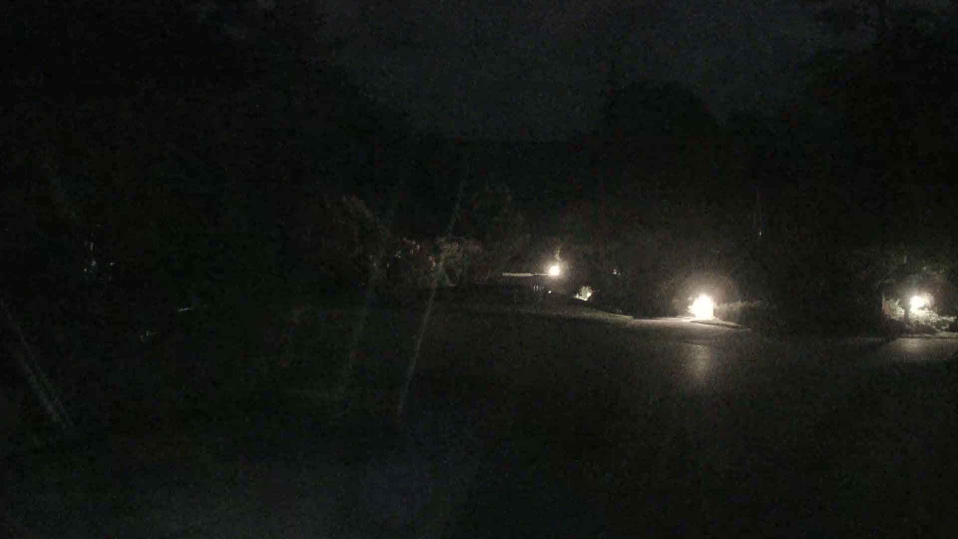 A dark, nighttime residential street is dimly lit by several lamps, revealing parts of houses and landscaping.
