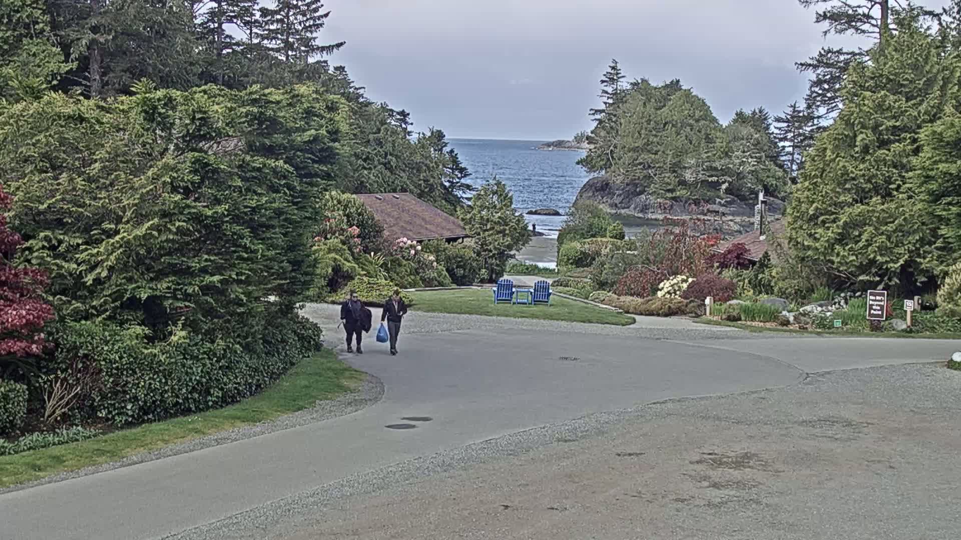 Two people walk on a paved path toward a calm ocean visible between lush green vegetation and a small building, under an overcast sky.