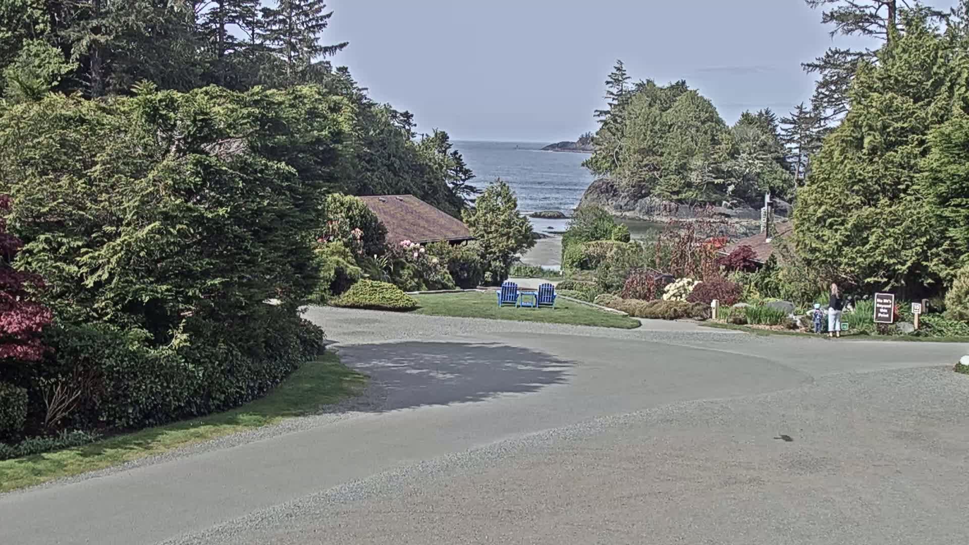 A paved road curves through a lush, green landscape featuring a small building, a grassy area with two blue chairs, and a tranquil ocean view on a sunny day.