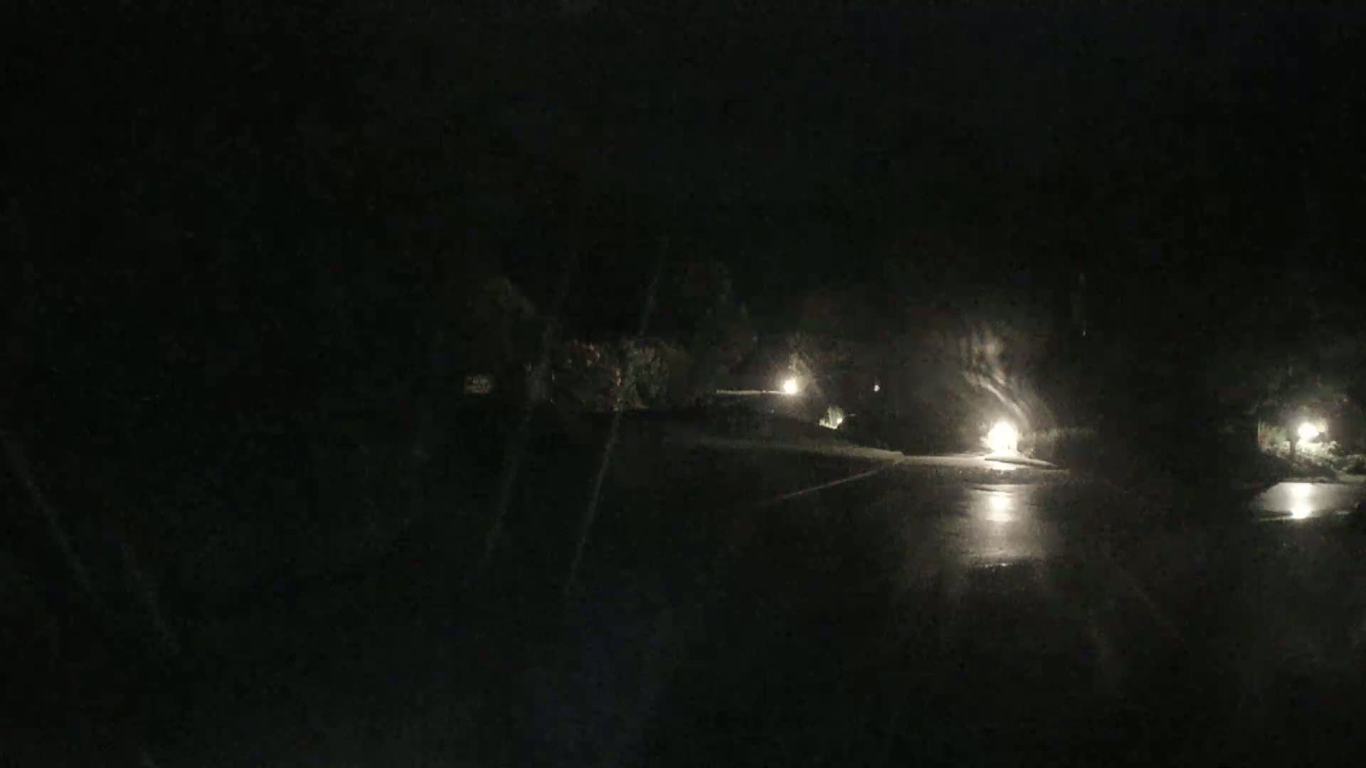 A dark, wet road at night is lit by several streetlights, with vegetation visible on either side.
