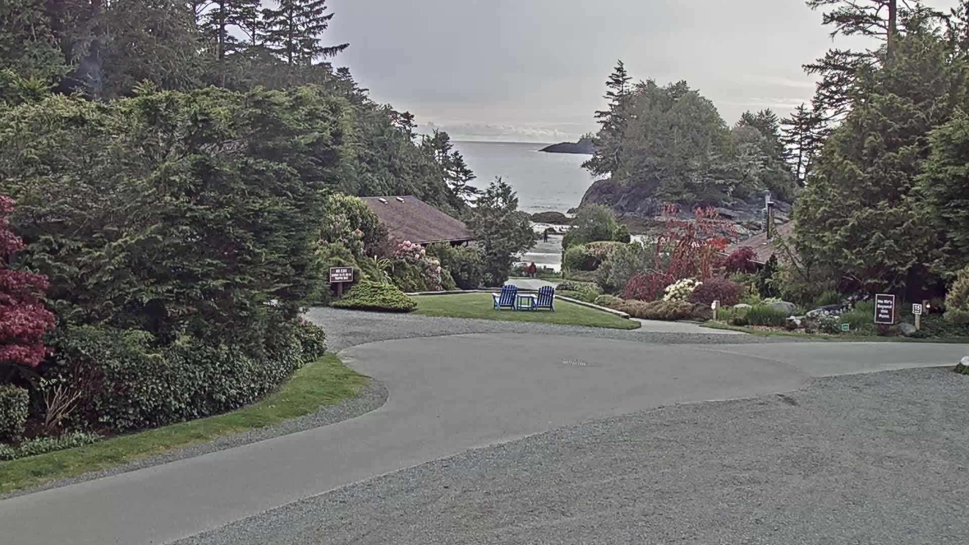 A paved driveway curves through a landscaped area with a view of a calm ocean beyond lush green vegetation and a small building.