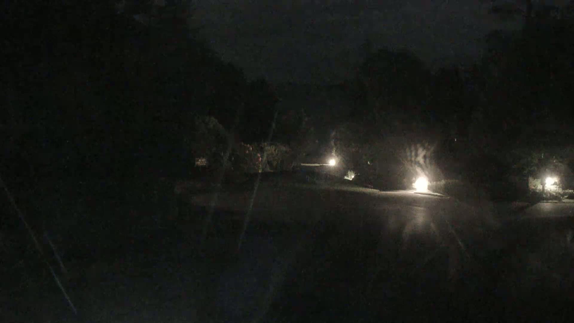 A dark, nighttime street scene shows a wet road illuminated by several lights along a tree-lined street.