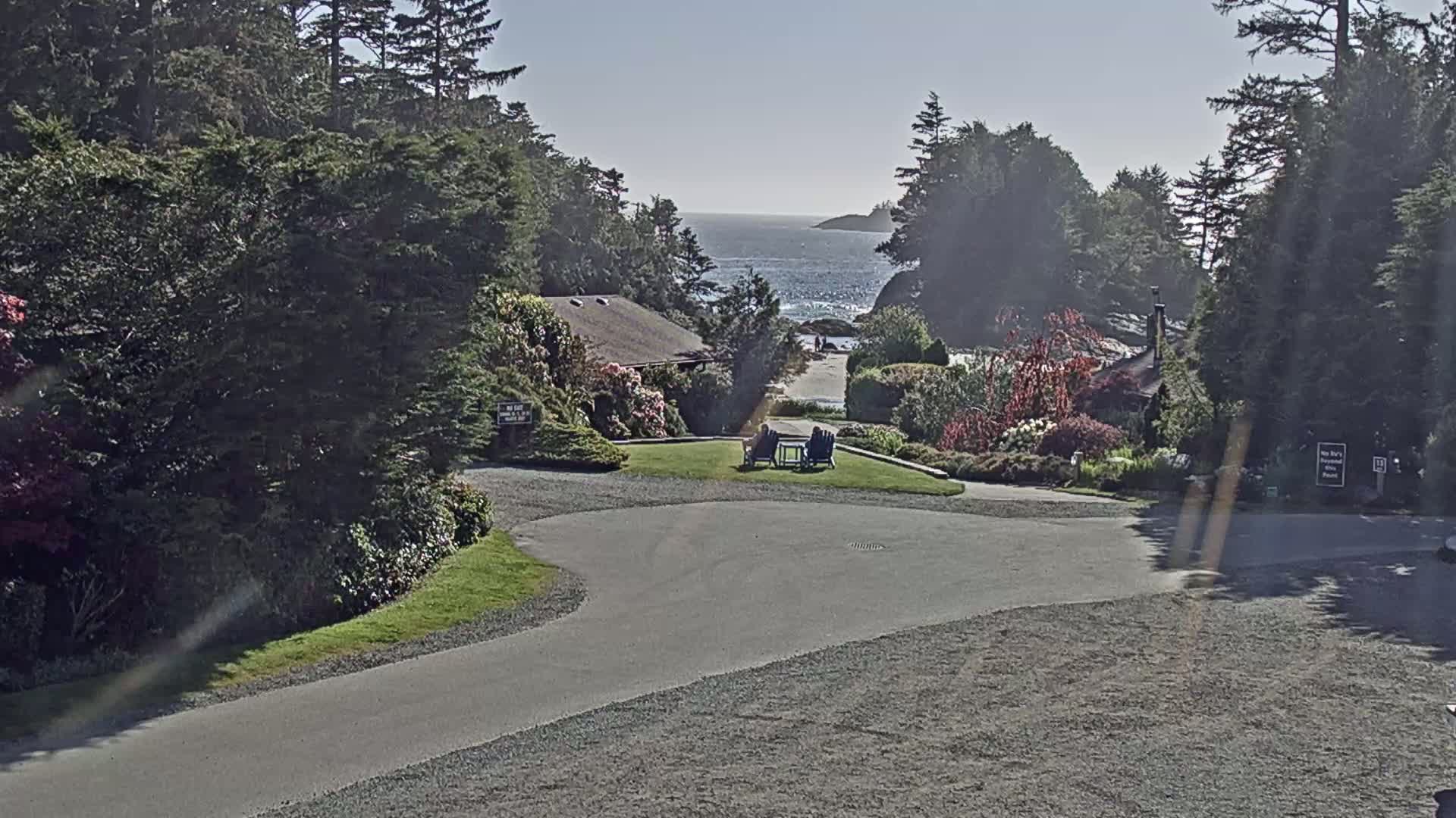 A paved roadway curves through a landscaped area with buildings and lush greenery, leading to a view of a calm ocean under a clear sky.