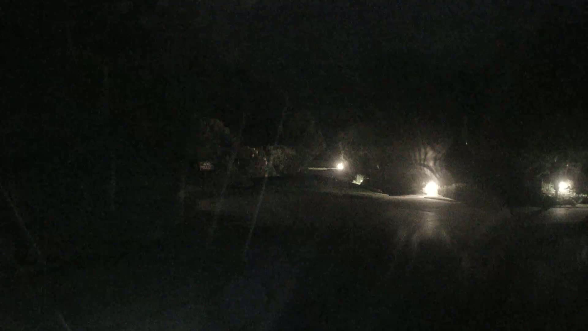 A dark, nighttime scene shows a paved road illuminated by several lights spaced along its sides, bordered by dark vegetation.