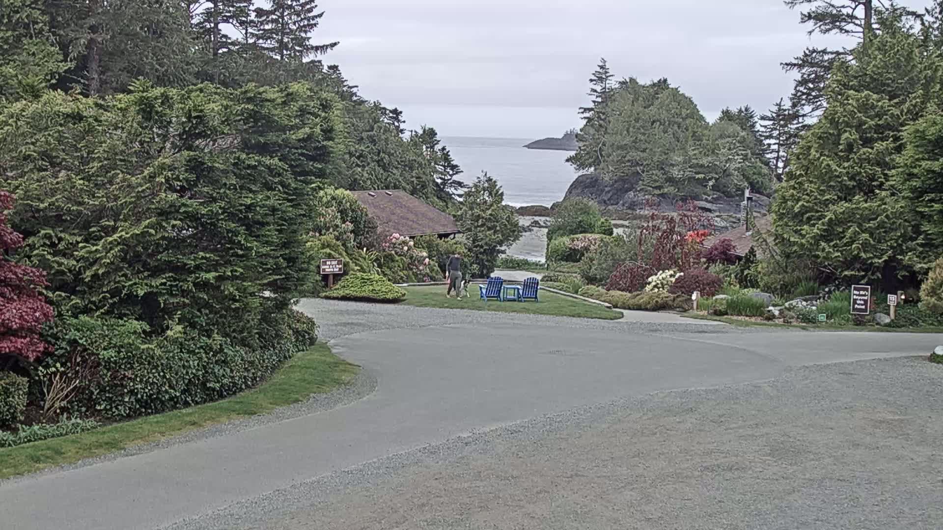 A person walks a dog on a grassy area near a building, with two blue chairs nearby, overlooking a calm ocean under an overcast sky.