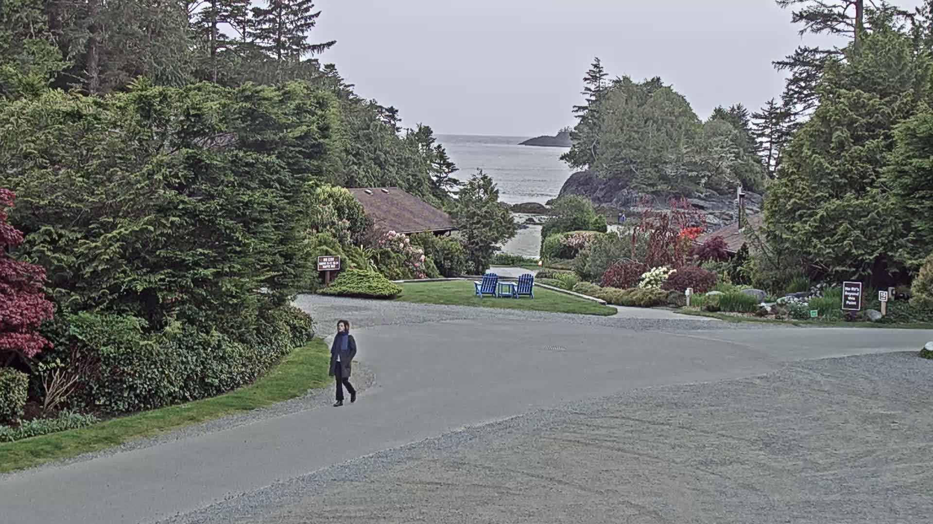 Tofino, Mackenzie Beach Live Cam - Tofino, Alberni-Clayoquot, British Columbia, Canada