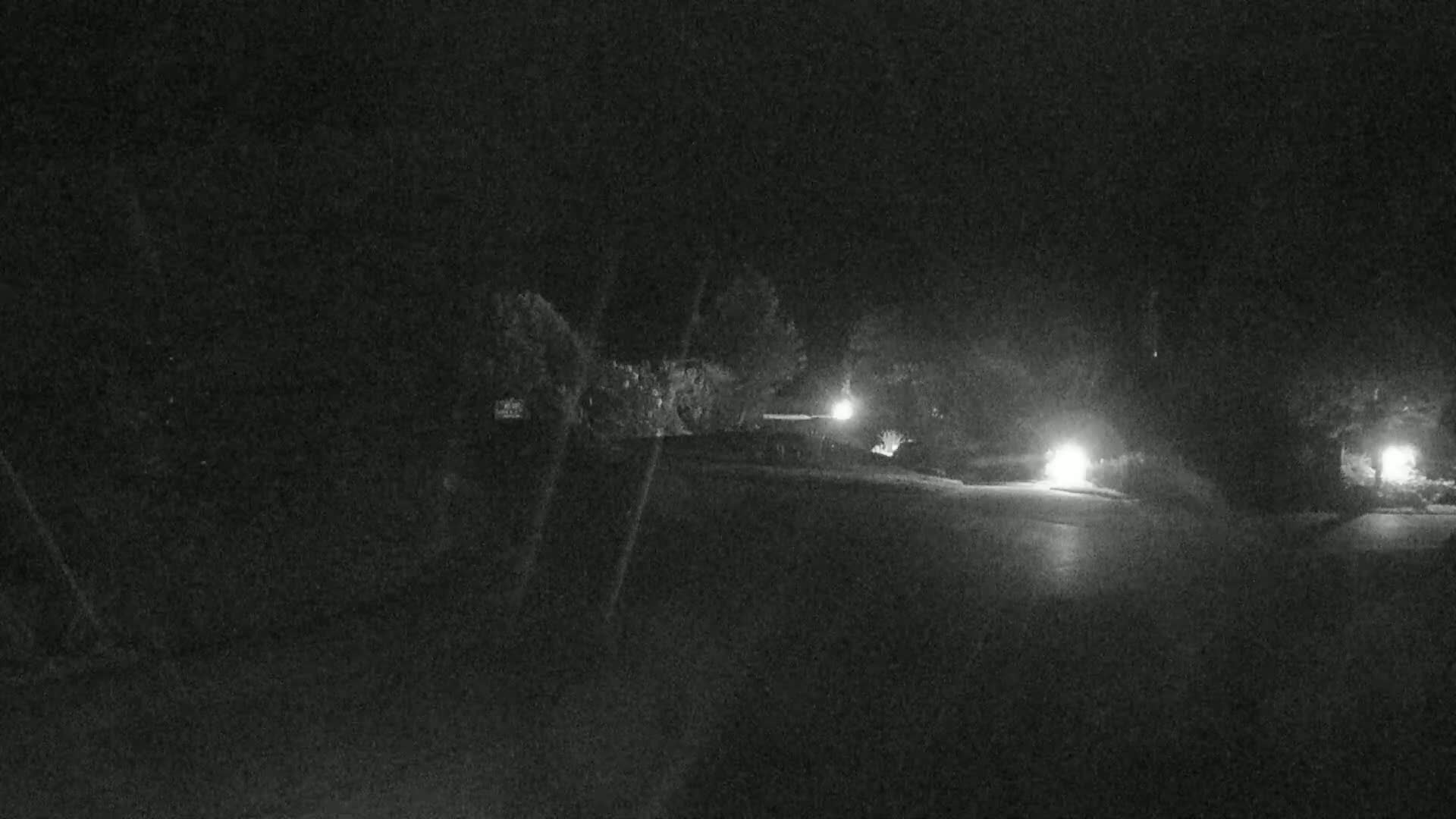 A nighttime, low-light view of a paved road bordered by dark foliage, illuminated by several bright lights.