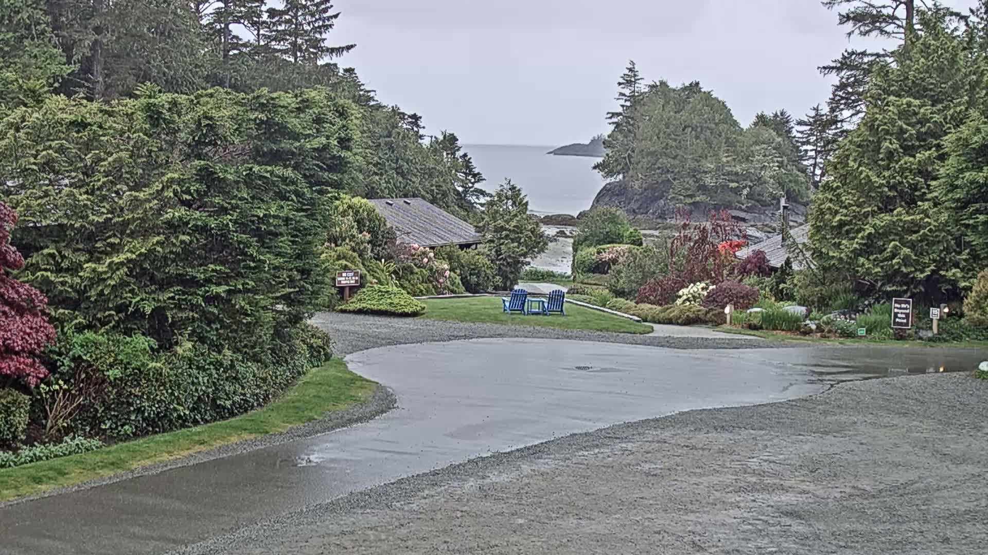 A wet, paved driveway curves past lush greenery toward a small building and a calm ocean view on a cloudy day.