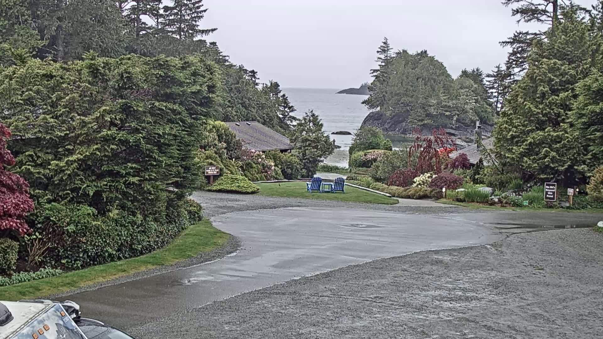 Tofino, Mackenzie Beach Live Cam - Tofino, Alberni-Clayoquot, British Columbia, Canada