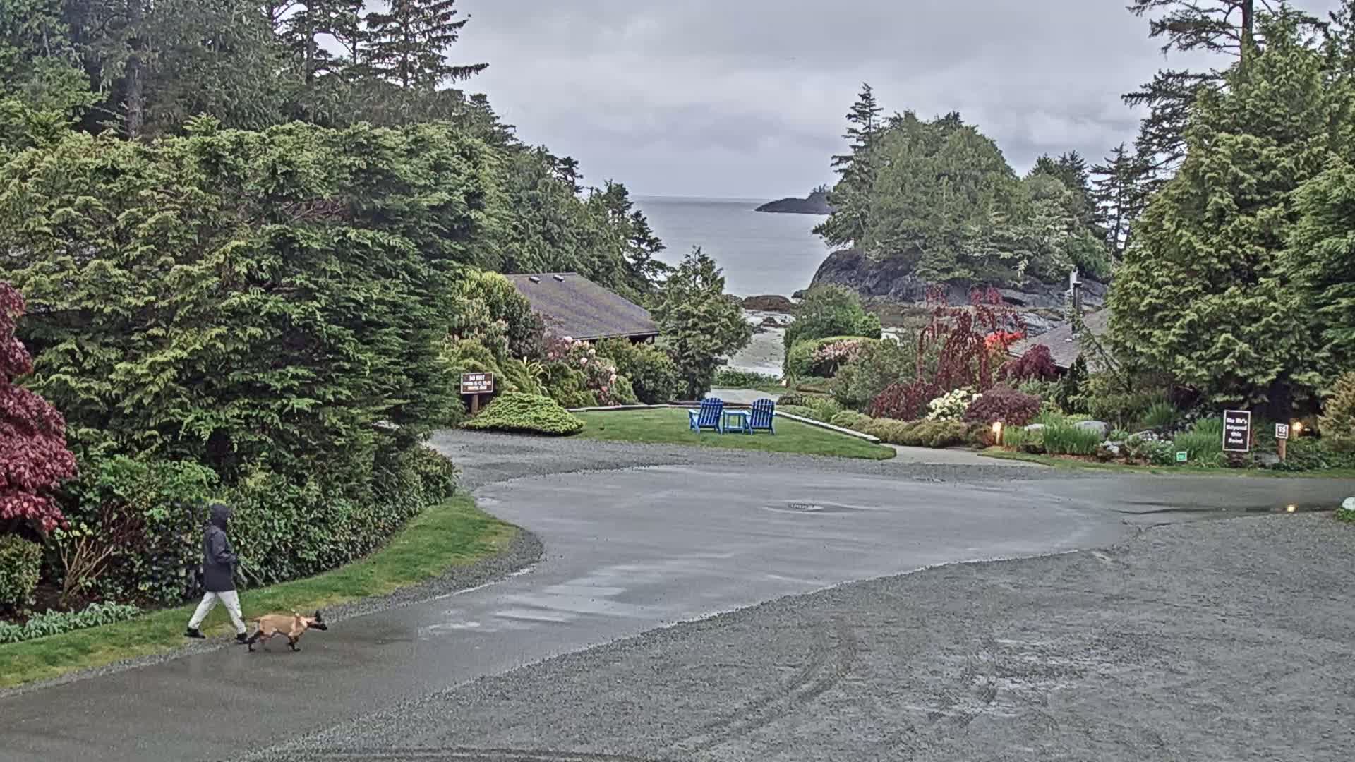 Tofino, Mackenzie Beach Live Cam - Tofino, Alberni-Clayoquot, British Columbia, Canada