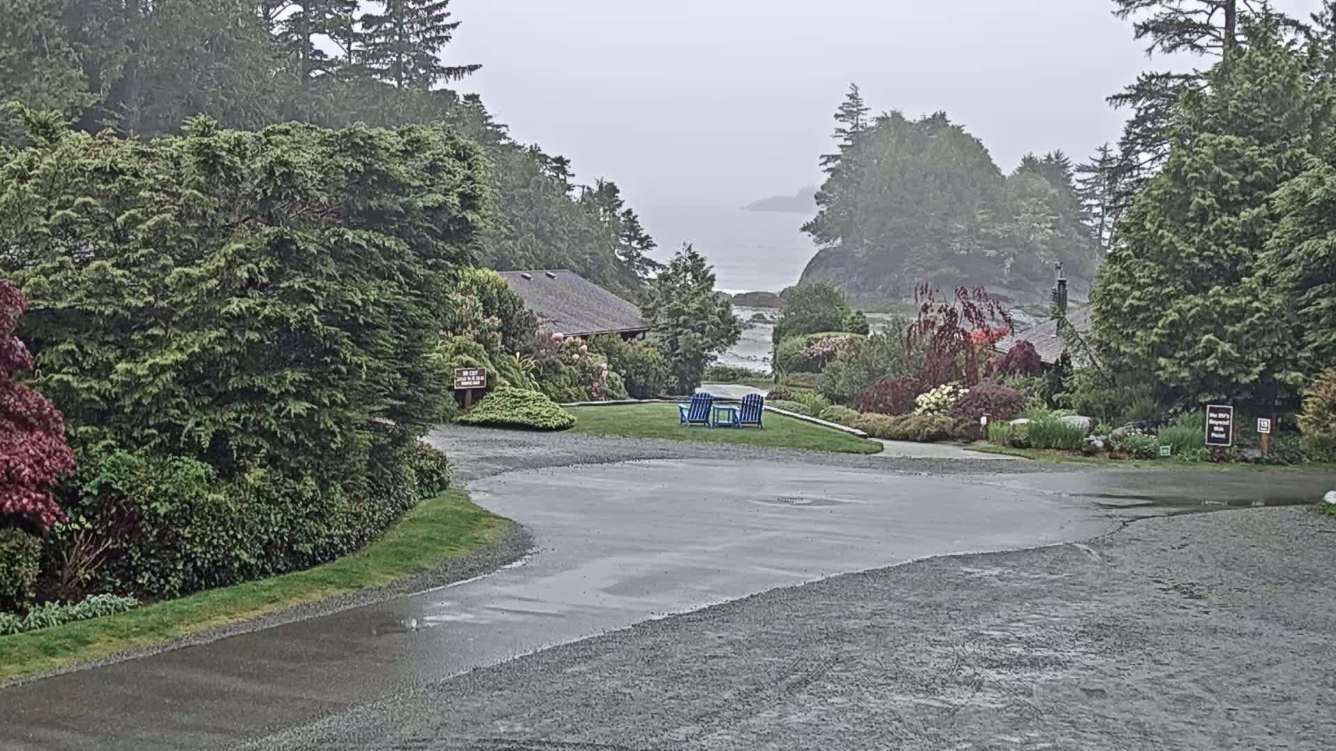A wet, paved road curves through a lush, green landscape toward a calm ocean vista under an overcast sky, with two blue chairs positioned on a grassy area.