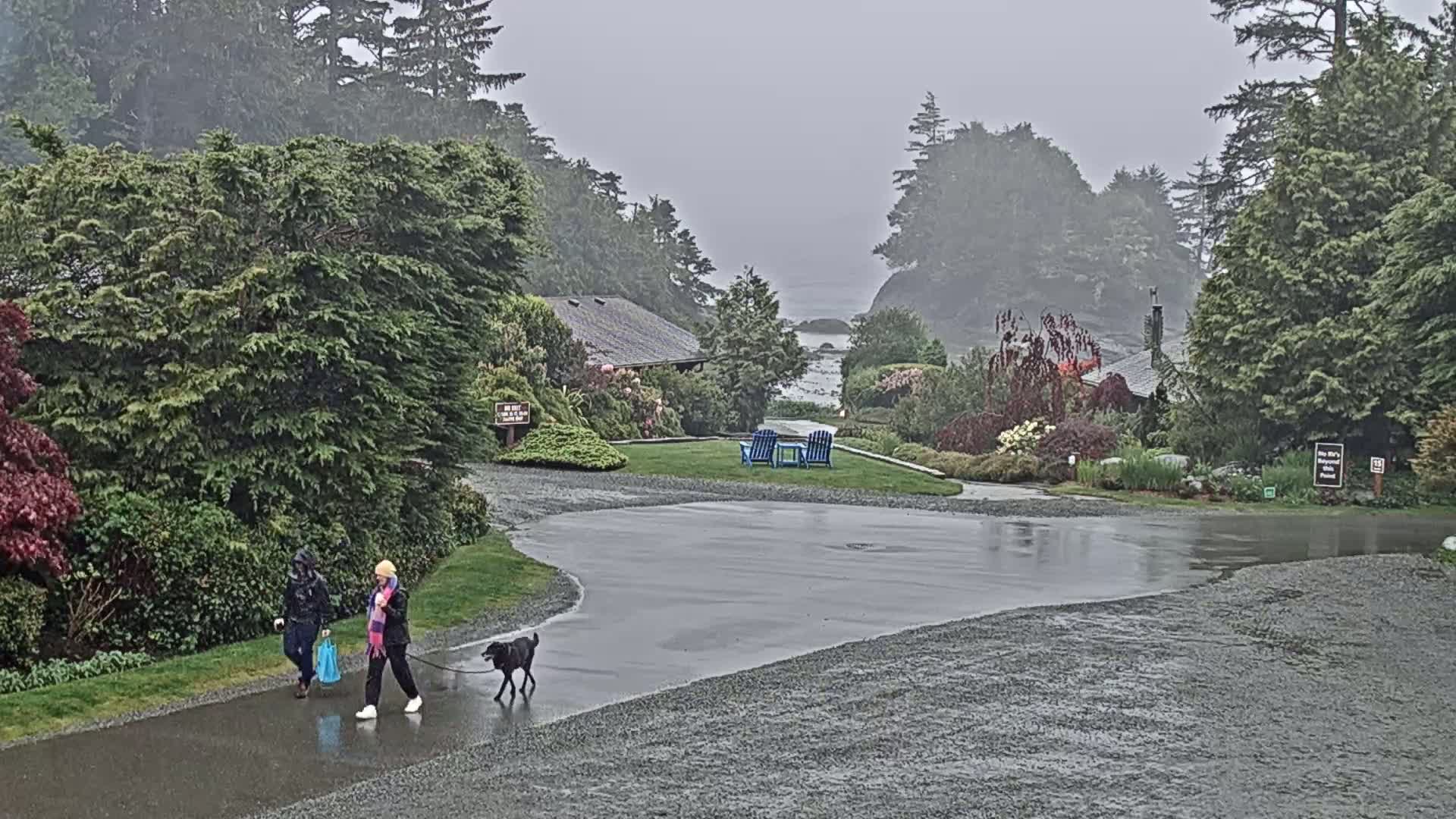 Tofino, Mackenzie Beach Live Cam - Tofino, Alberni-Clayoquot, British Columbia, Canada