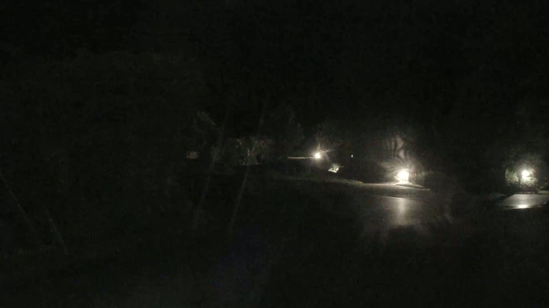A dark, nighttime scene shows a wet roadway illuminated by distant lights and bordered by dark vegetation.