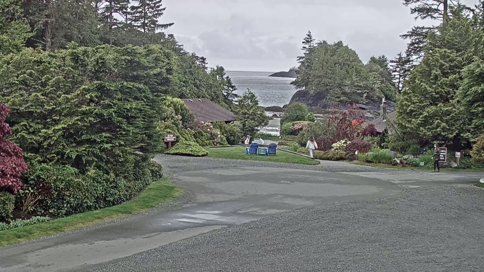 A gravel driveway curves past a grassy area with blue chairs and people walking, leading to a view of a calm ocean under an overcast sky, surrounded by lush green vegetation and buildings.