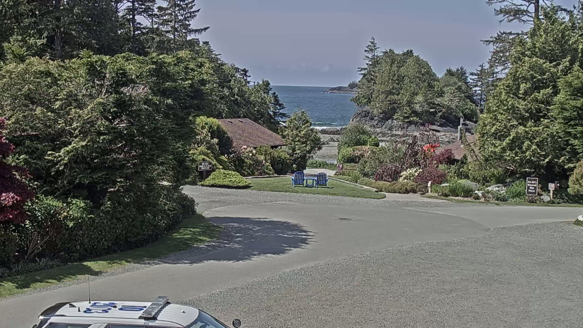 A gravel roadway curves toward a calm ocean visible through lush green foliage, with a few buildings and two blue Adirondack chairs nestled in a landscaped area.