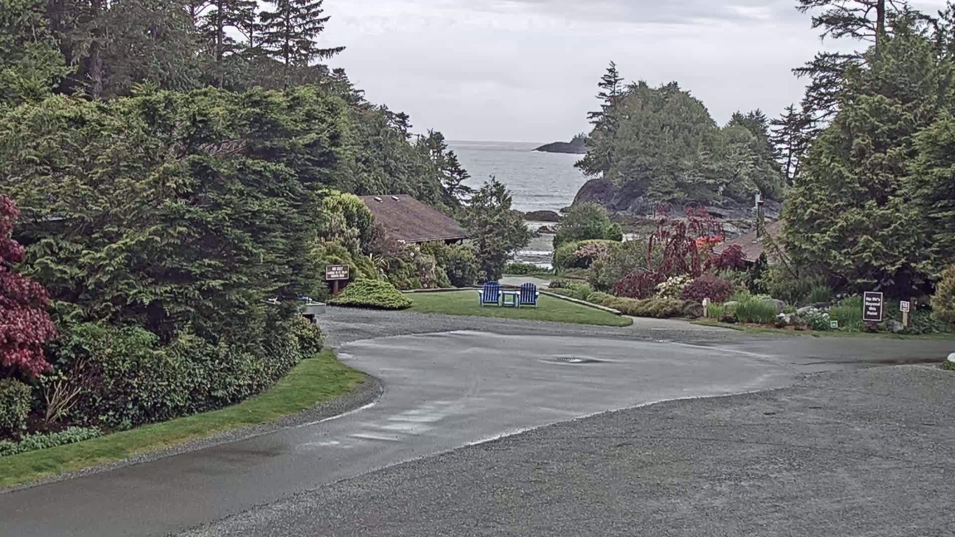 A wet asphalt road curves through a lush, green landscape with a view of a calm ocean beyond a rocky shoreline, featuring a small house and two blue chairs on a grassy area.