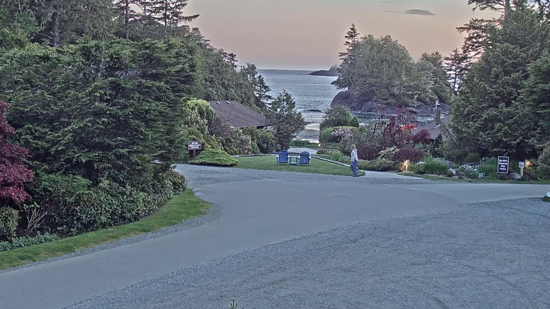 A person walks past two blue chairs on a grassy area near a gravel road, overlooking a calm ocean at dusk, nestled among lush green trees and shrubs.