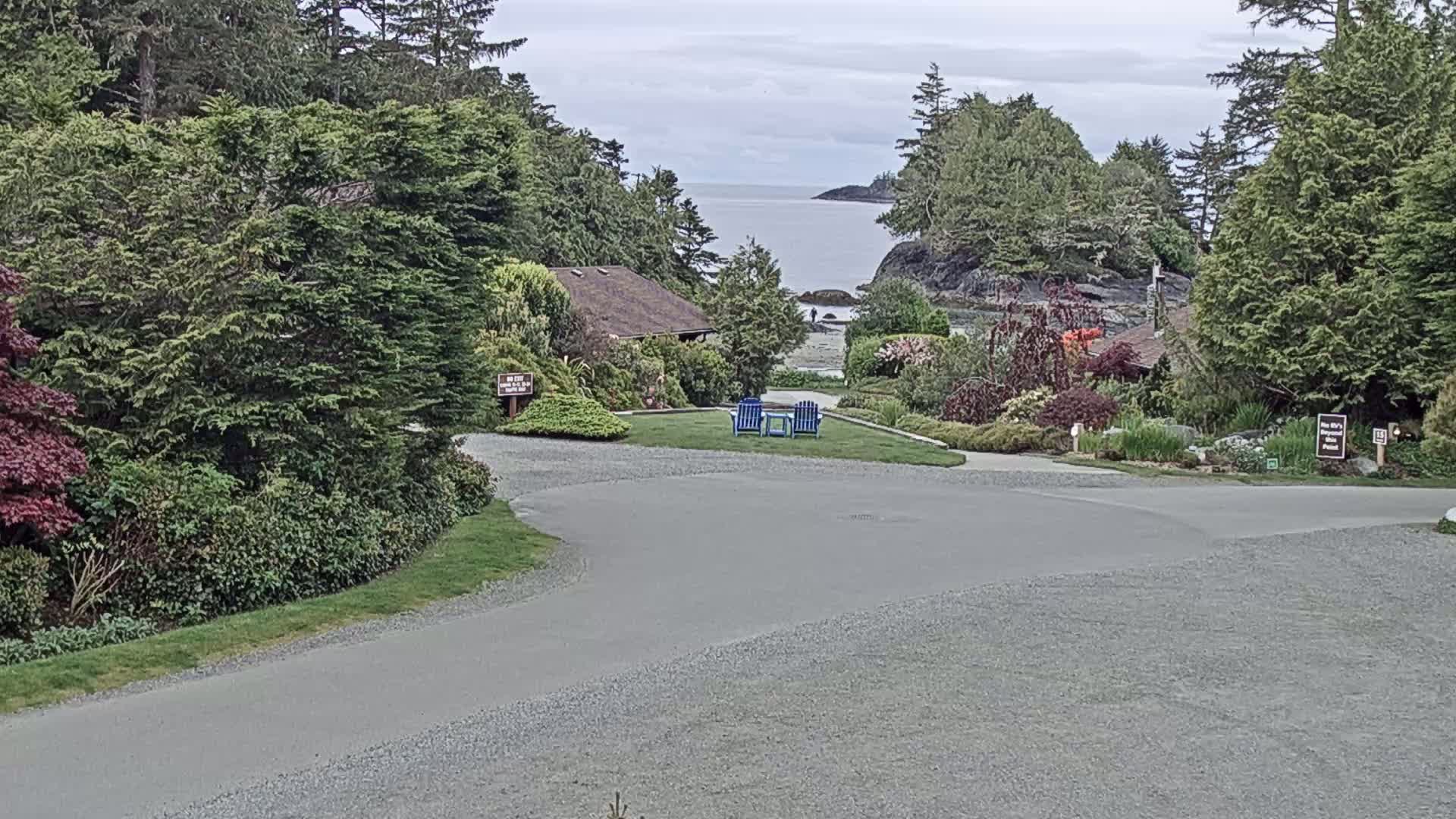 A gravel road leads to a grassy area with two blue chairs overlooking a calm ocean under an overcast sky, surrounded by lush green vegetation and a small building.