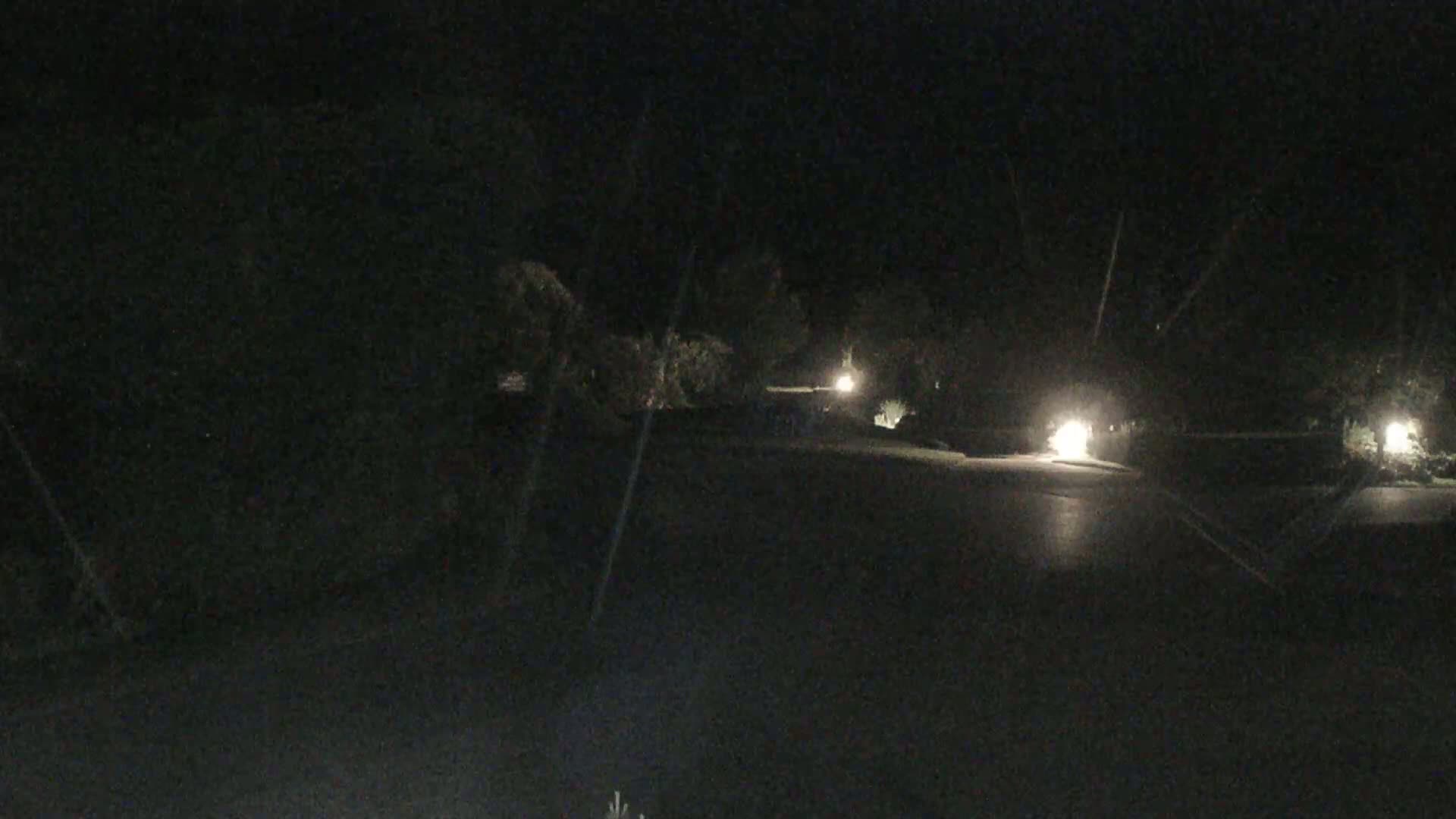 A dark, nighttime scene shows a paved road lined with dark trees and bushes, illuminated by several faint lights.