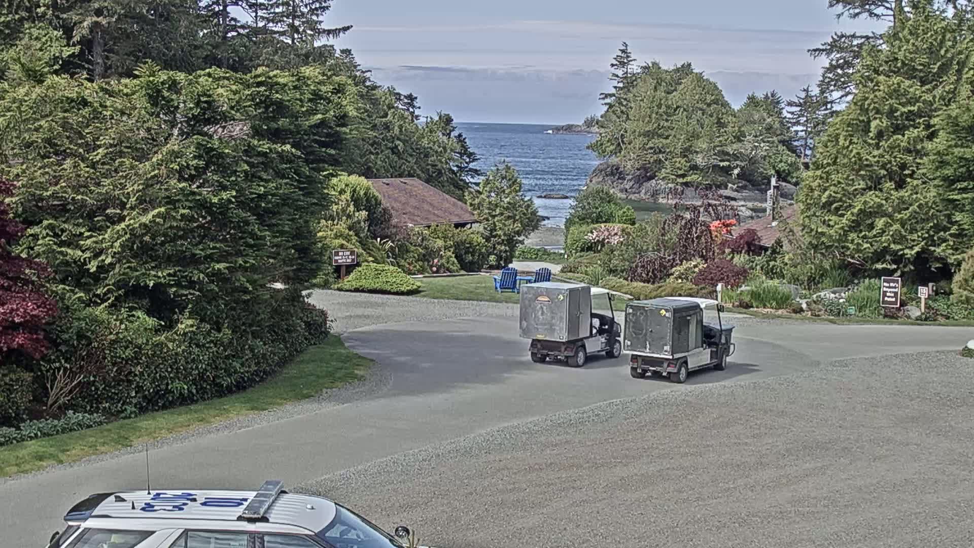 Two golf carts carrying cargo are parked in a gravel lot near a body of water on a partly cloudy day, with lush green vegetation and a glimpse of a rocky coastline in the background.
