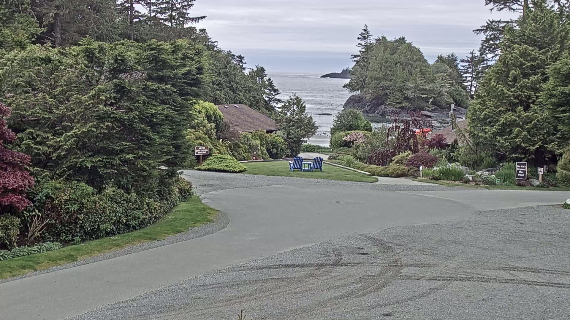 A paved driveway curves through a landscaped area with lush green vegetation, leading to a view of a calm ocean with a distant island under an overcast sky; two blue chairs sit on a grassy area in the middle.