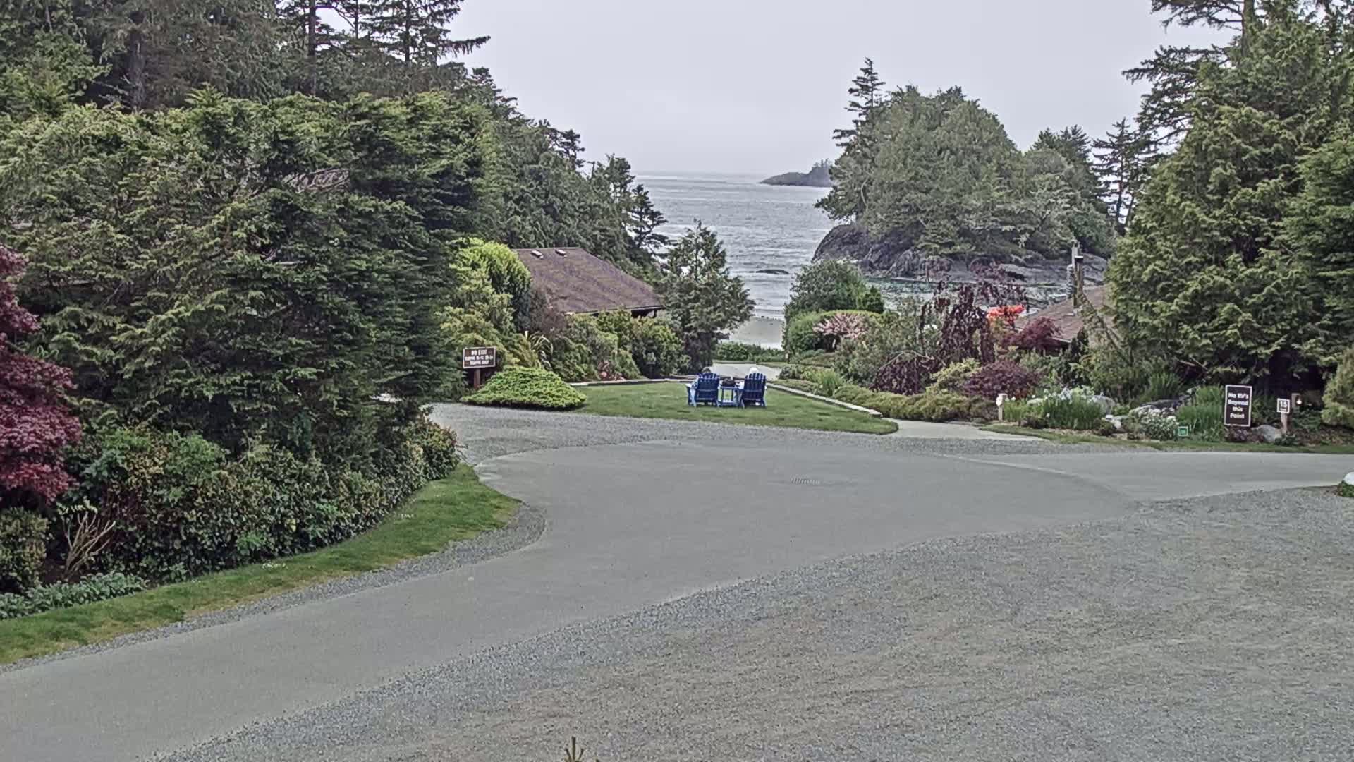 A gravel road leads to a grassy area with two chairs overlooking a calm ocean, surrounded by lush greenery and buildings under an overcast sky.