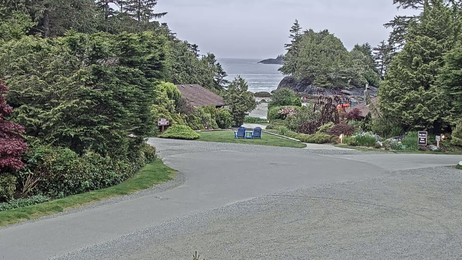 A paved road curves through a lush, green landscape with a view of a calm ocean and a pair of blue chairs on a grassy area.