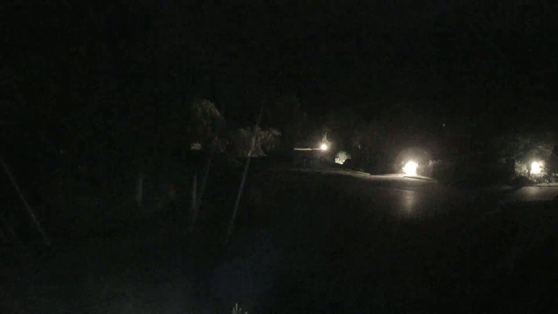A dark, nighttime scene shows a roadway with two illuminated areas and surrounding vegetation.