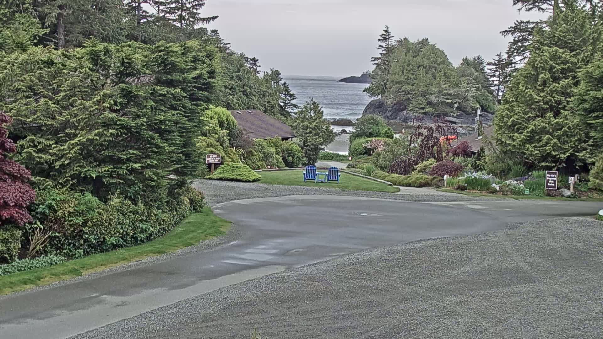A paved road curves through a lush, green landscape with a view of a calm ocean and a distant shoreline under an overcast sky.