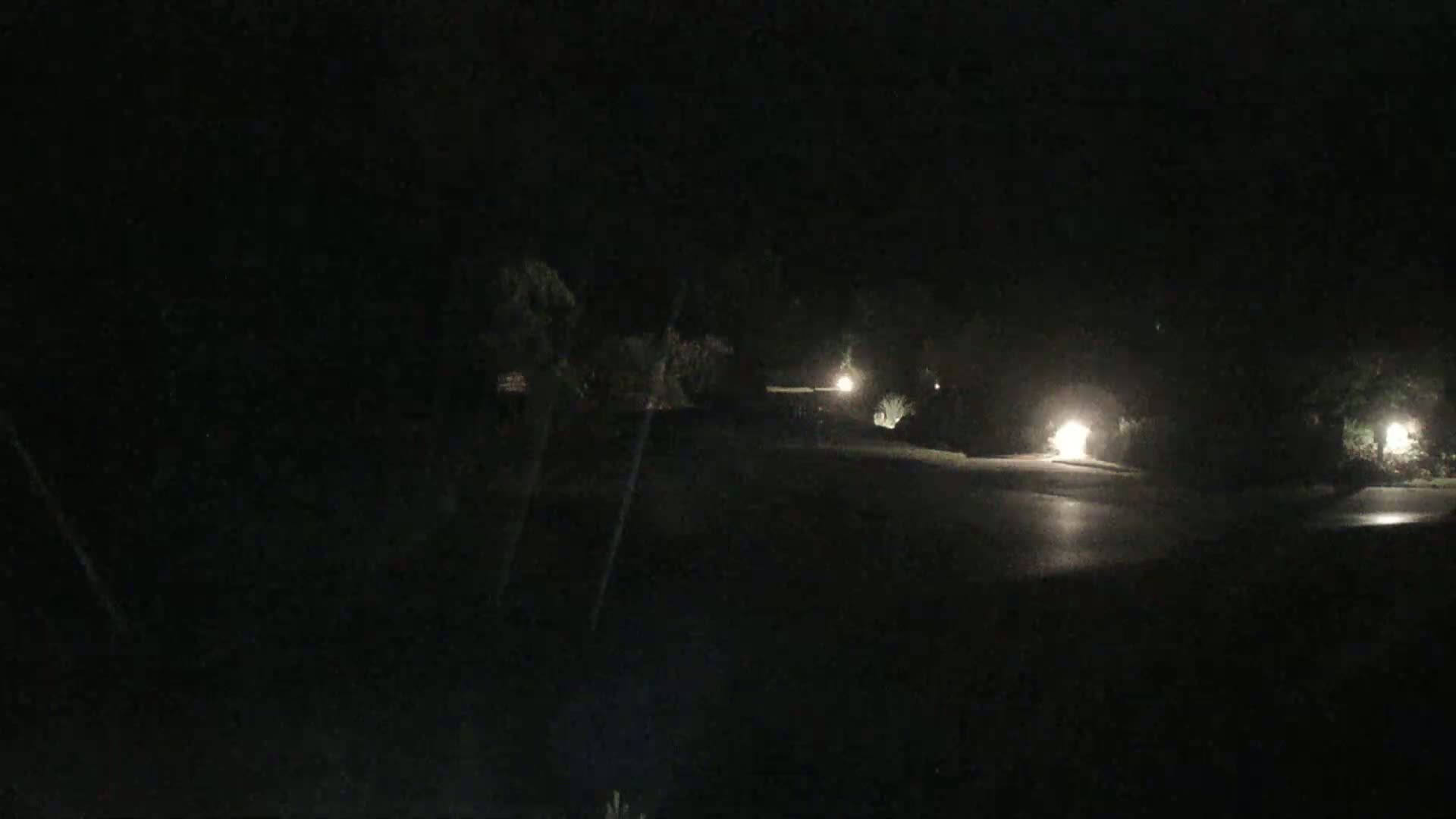 A dark, nighttime scene shows a wet roadway with sparsely lit landscaping and trees.