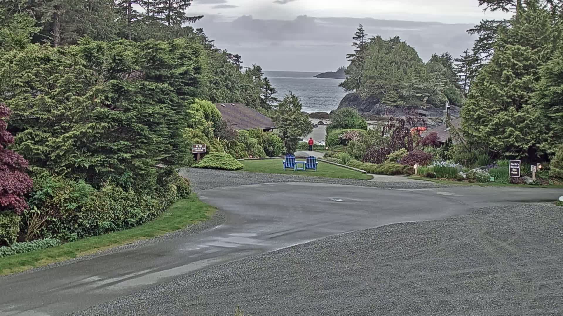 A paved driveway leads to a grassy area with two blue chairs and a person walking toward a calm ocean visible through a gap in the trees under an overcast sky.