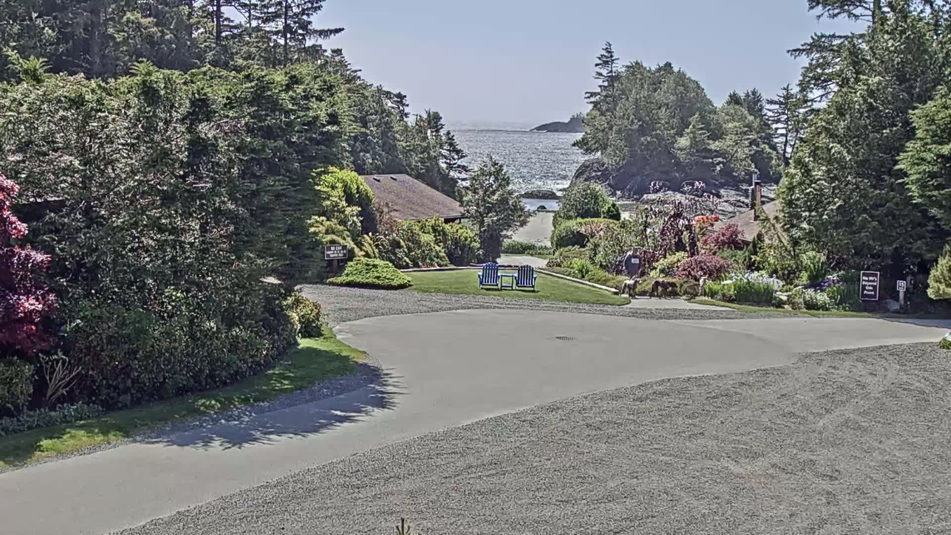 A paved driveway curves through a lush, green landscape towards a calm ocean under a sunny sky, with a few houses and colorful gardens visible.