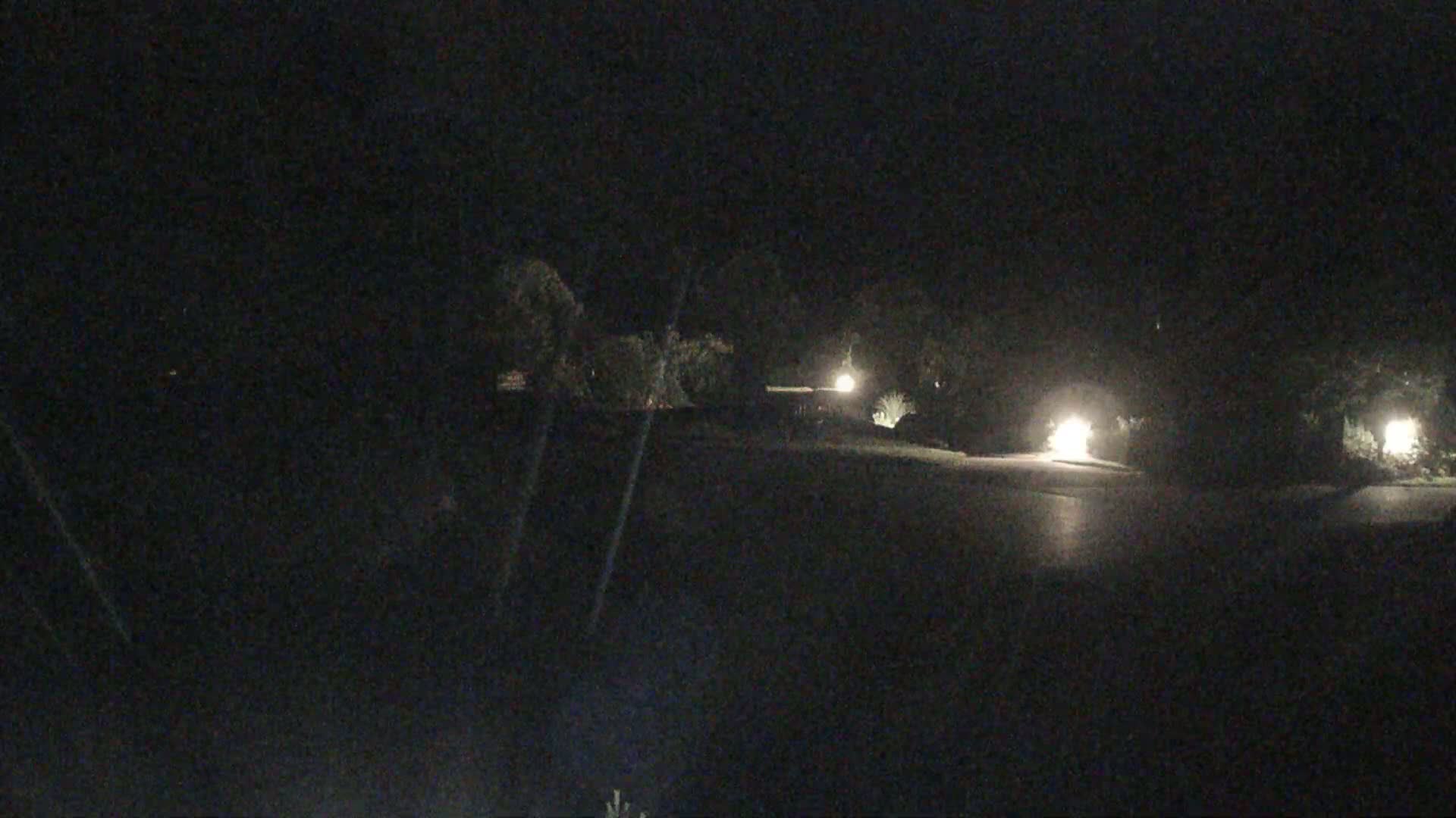 At night, dimly lit houses and trees are visible along a dark, wet road.