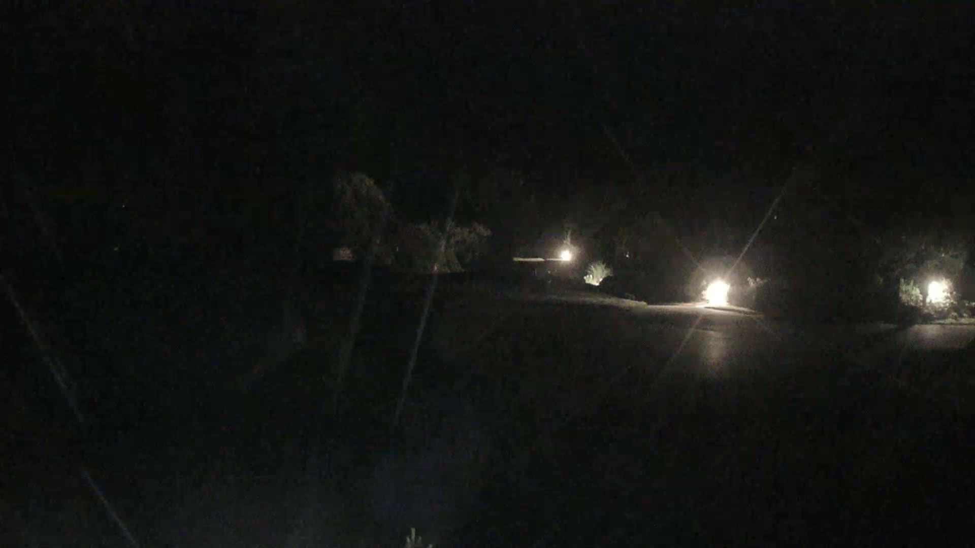 A dark, nighttime scene shows a paved road with sparsely lit areas and dark foliage on either side.