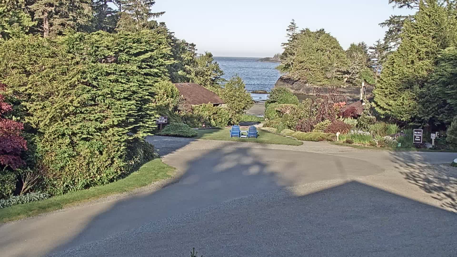 A paved driveway curves through a lush, green landscape toward a calm body of water, with two blue chairs situated on a grassy area overlooking the ocean on a sunny day.