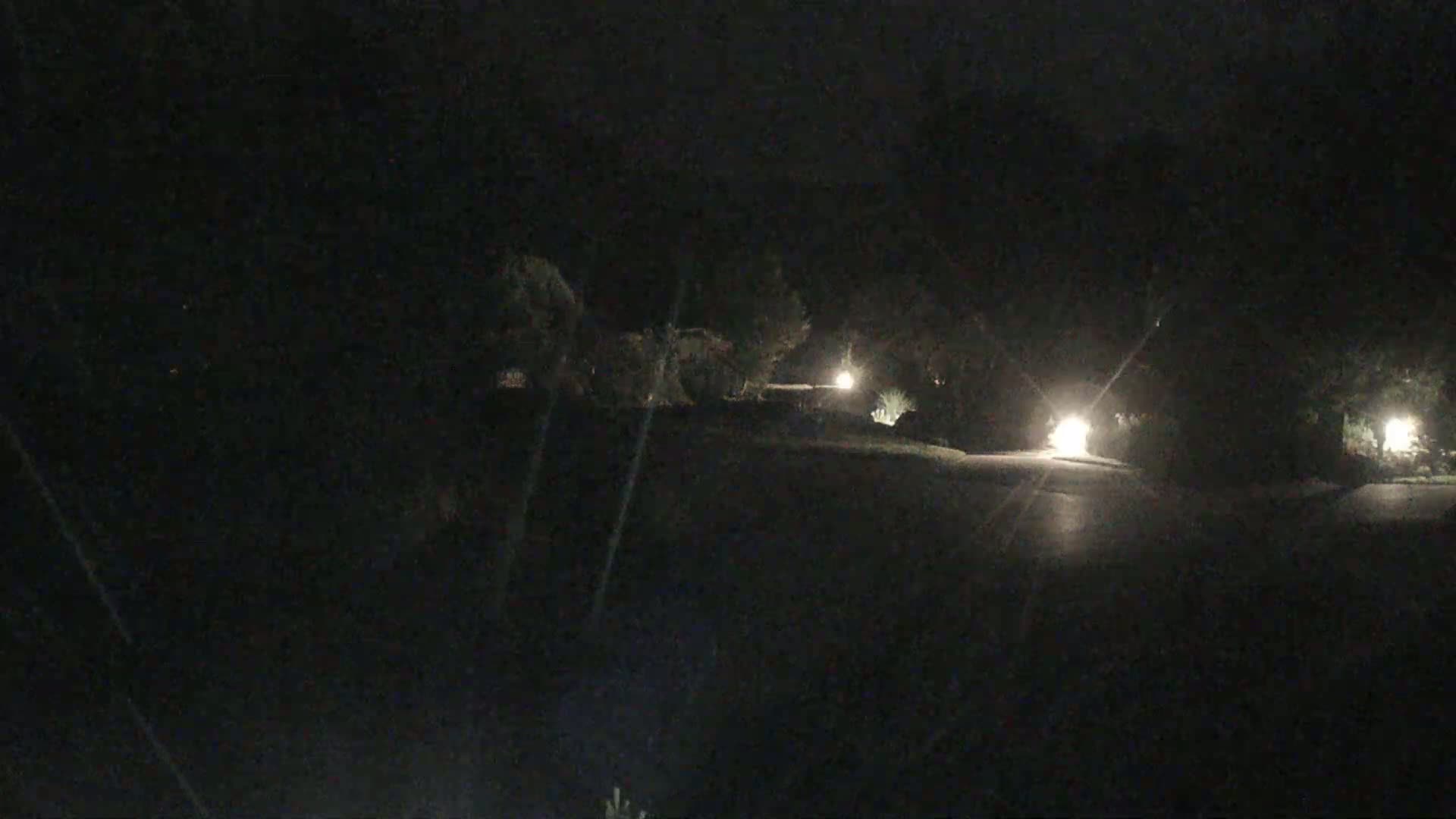 A dark, nighttime scene shows a roadway lined with trees and illuminated by several lights.