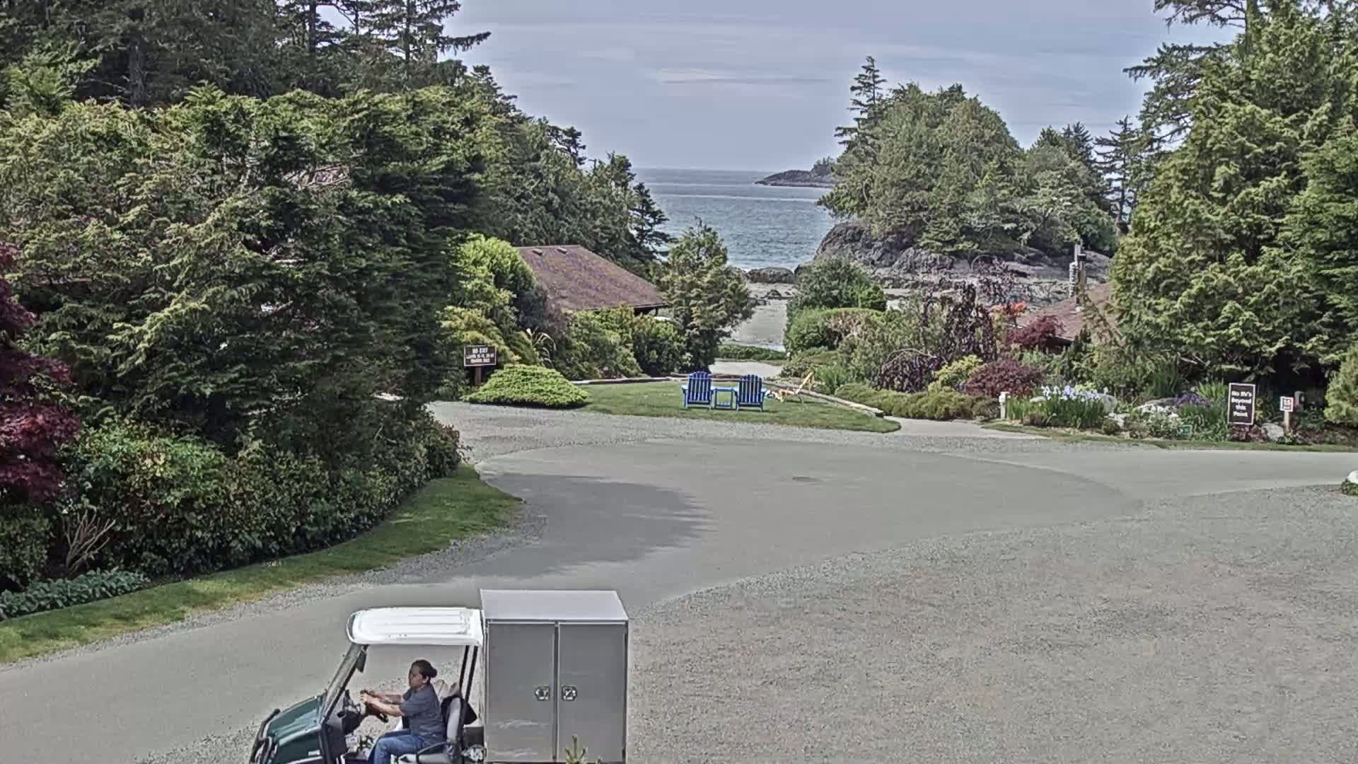 A person drives a golf cart past a gray box toward a paved area overlooking a calm ocean, partially obscured by lush green trees and landscaping under a mostly clear sky.