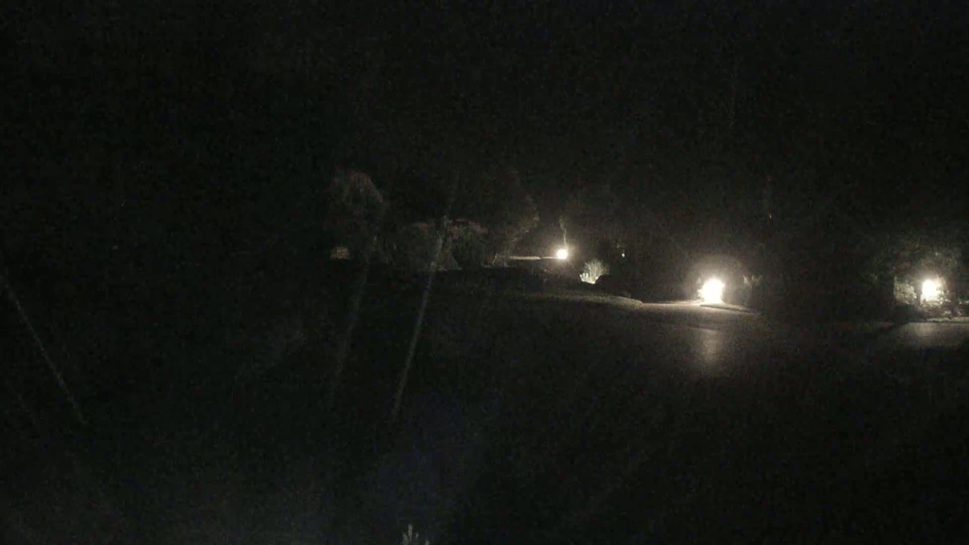 A dark, nighttime road is lit by several lamps lining the sides, with vegetation obscuring the surroundings.