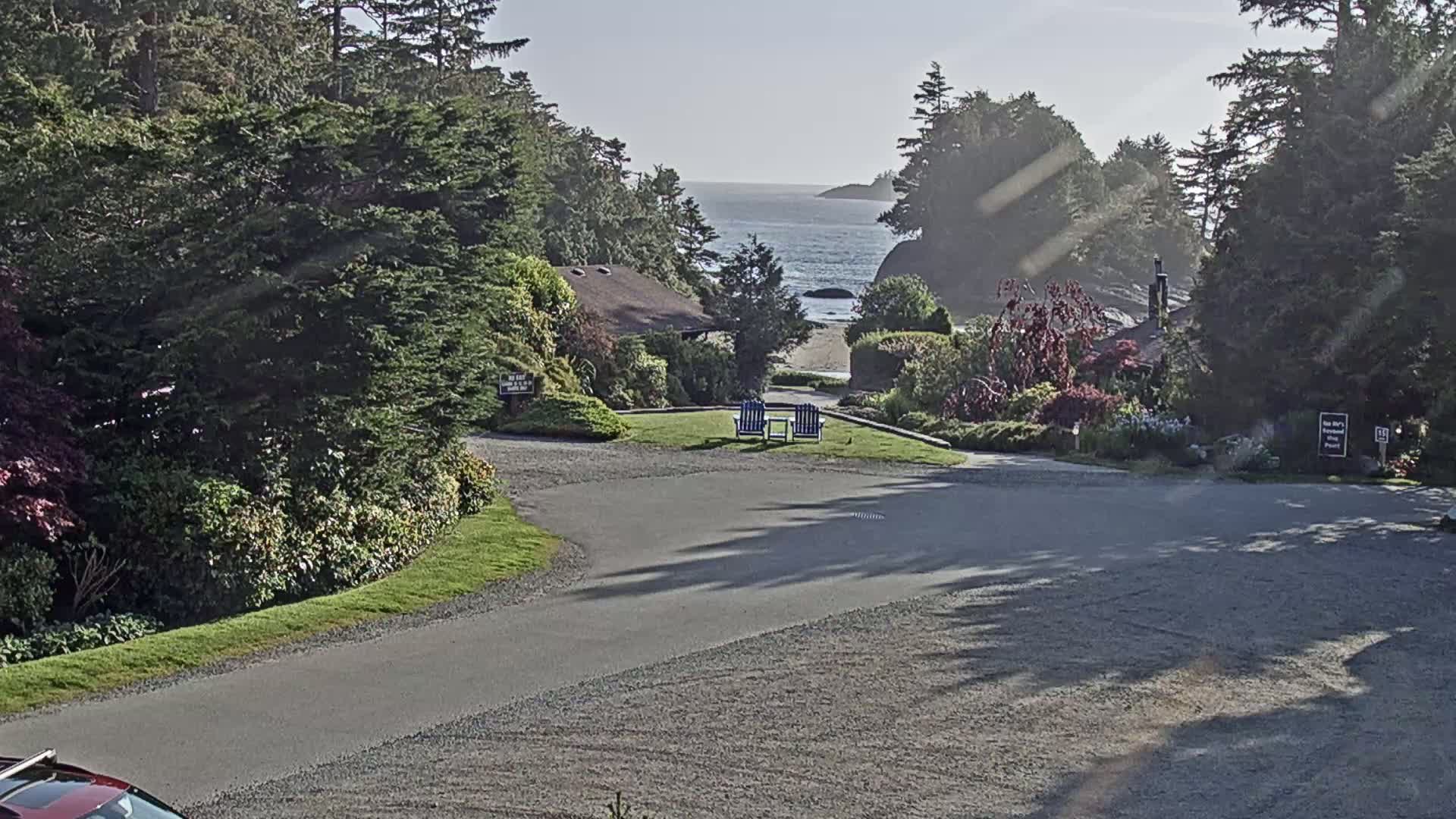 A paved driveway winds through a lush, green landscape toward a tranquil ocean view on a sunny day.