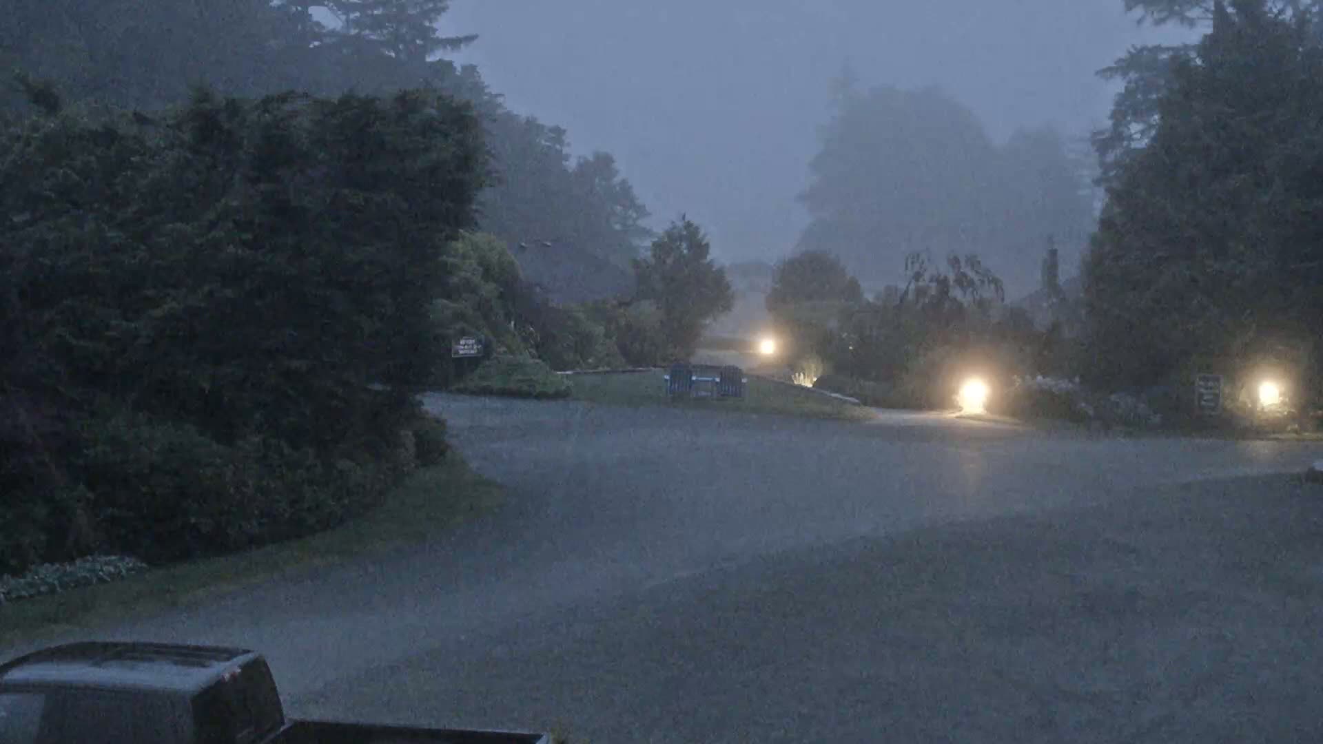 A rain-soaked roadway winds through a dimly lit residential area during a heavy downpour, past lush greenery and muted outdoor lighting.