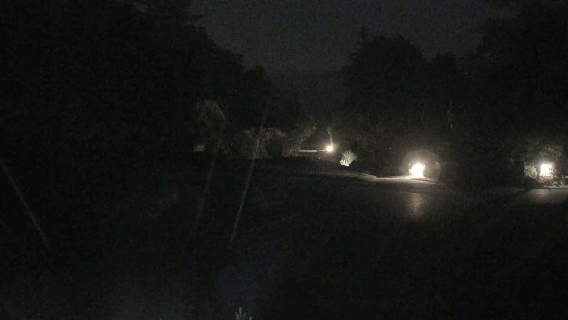 A dark, nighttime scene shows a wet road curving through a tree-lined area illuminated by several distant lights.