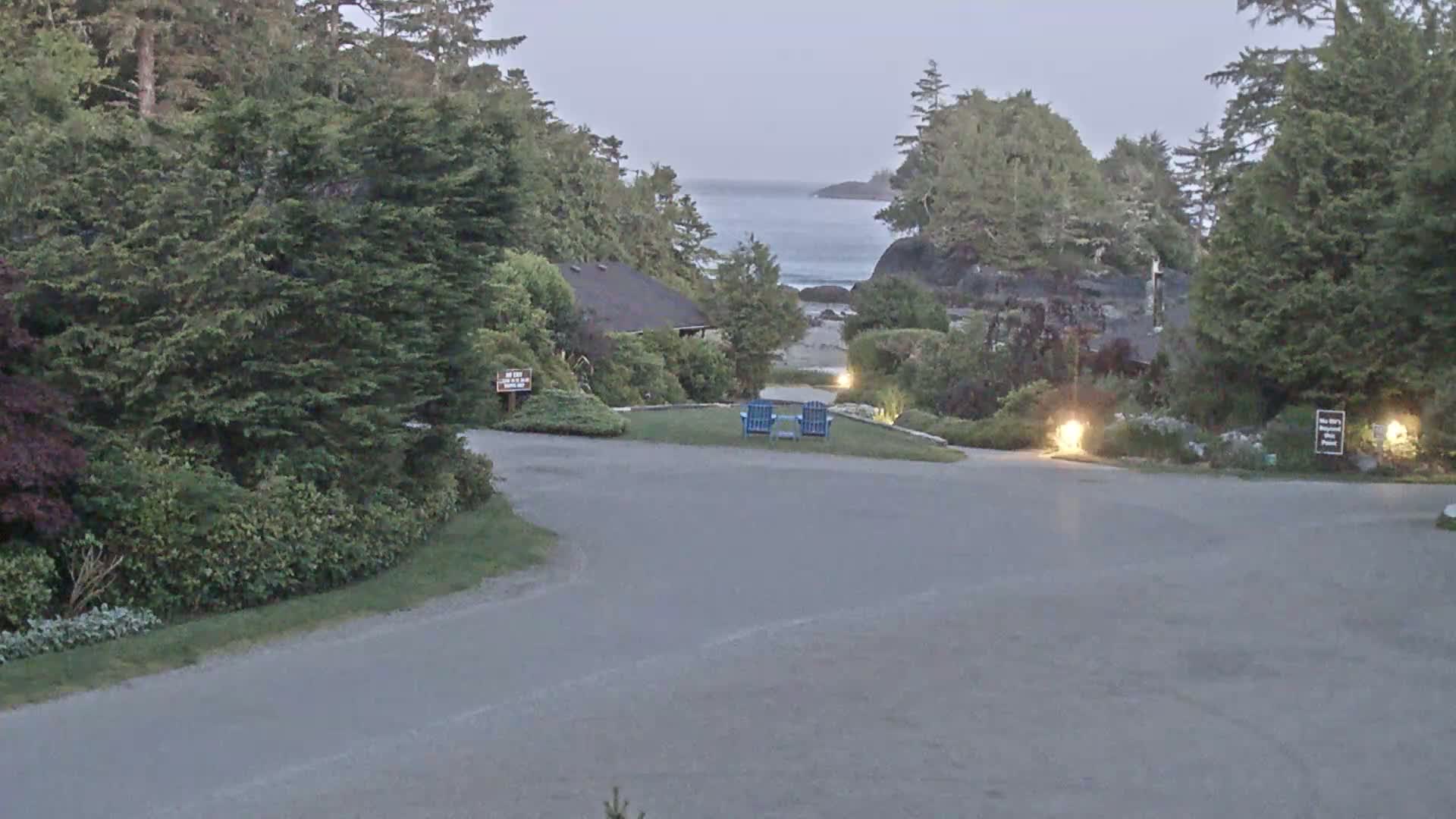 A paved road curves through a lush, green landscape toward a tranquil ocean view under an overcast sky.