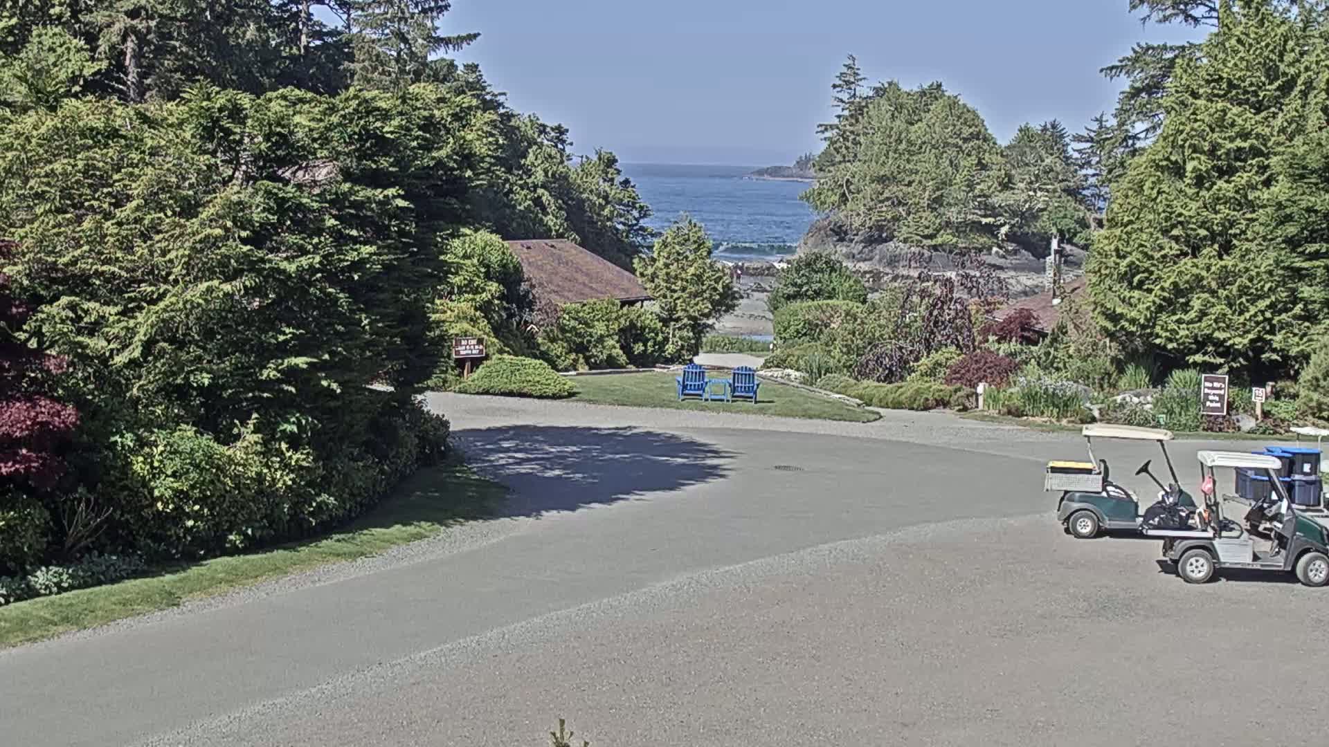 A paved area with two golf carts, a small building, lush greenery, and a view of a calm ocean under a sunny sky.