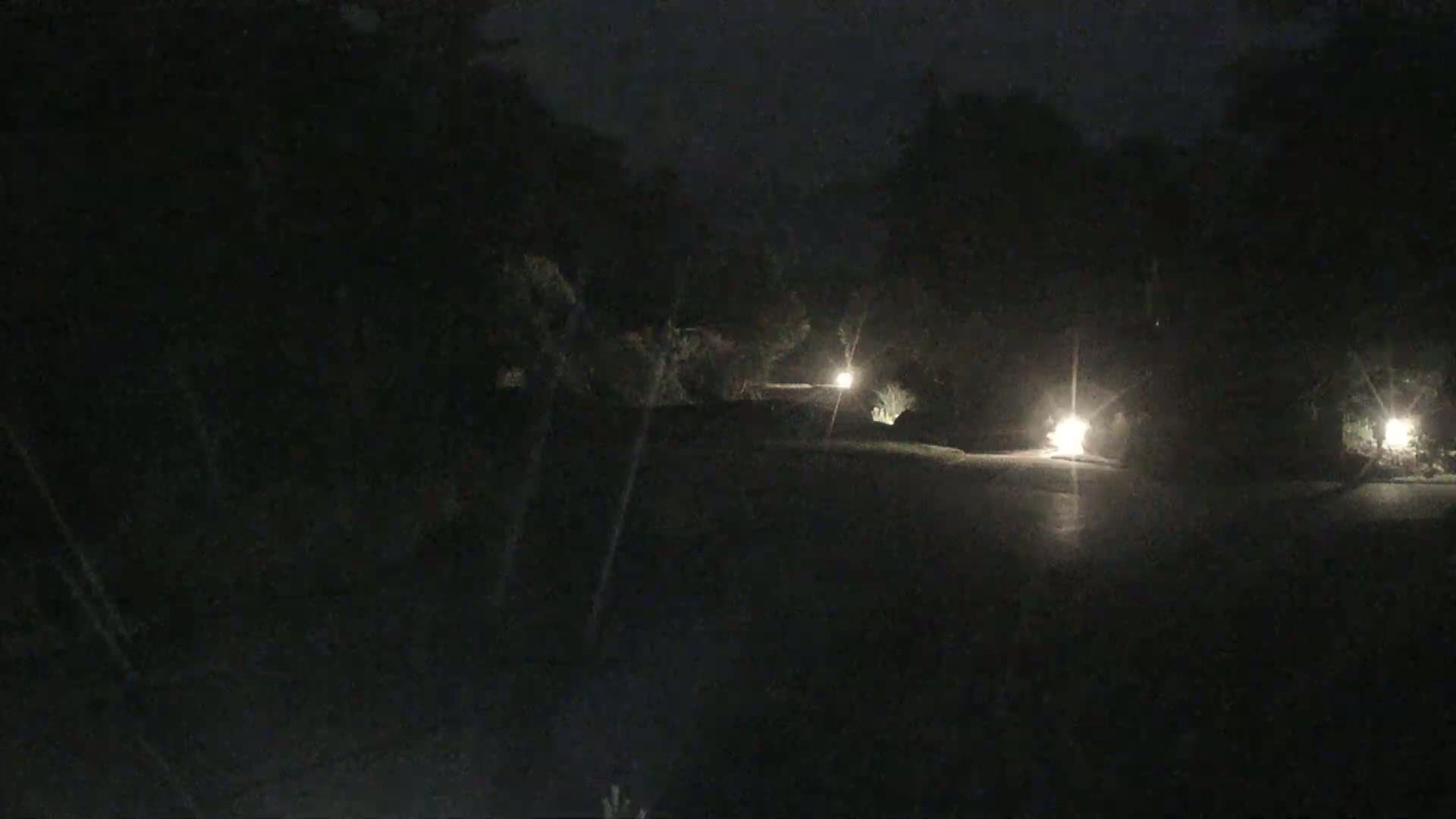 A dark, nighttime scene shows a wet road illuminated by several small lights set back from the road in the greenery.