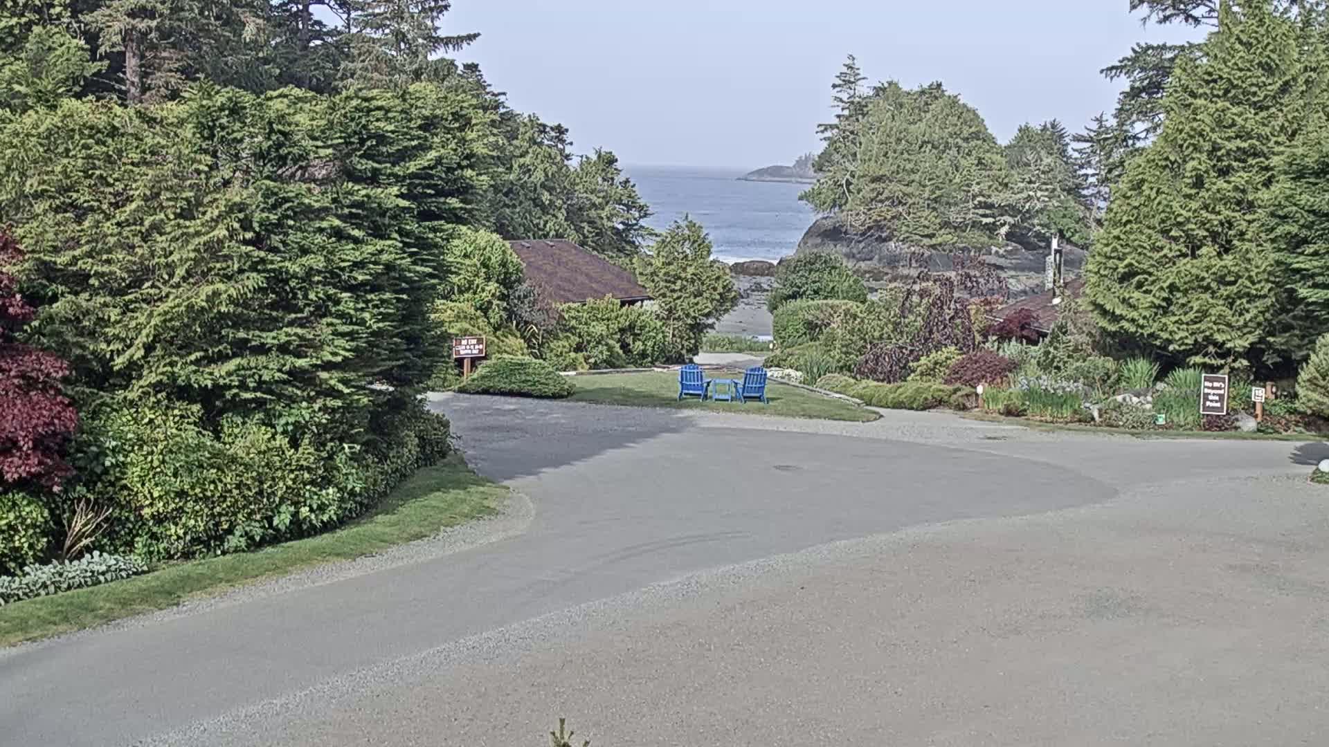 A paved roadway curves through a lush, green landscape with evergreen trees, leading to a view of a calm ocean and a small beach under a clear sky.