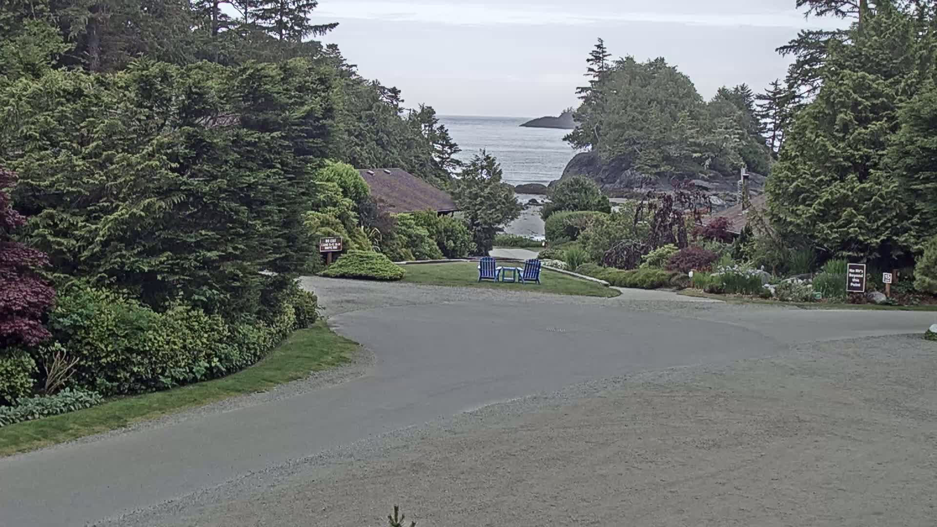 A paved road curves through a lush, green landscape toward a calm ocean with a rocky shoreline under an overcast sky.