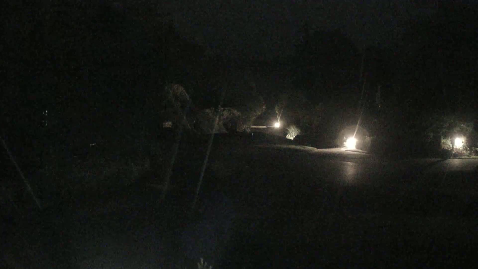 A dark, nighttime scene shows a paved road lit by several lamps flanking the roadway, surrounded by trees and shrubs.