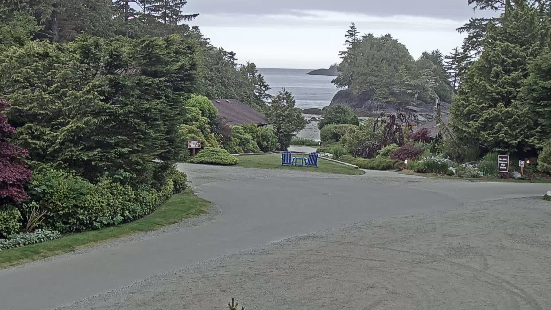 A paved driveway curves through a lush, green landscape toward a calm ocean view under an overcast sky, with a pair of blue chairs situated on a grassy area.